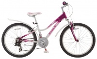 STELS Navigator 460 V 24 (2015)