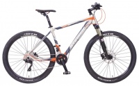 Stinger Altum 29 GR (2016)